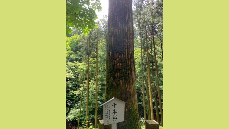 「入社にあたって。」の写真