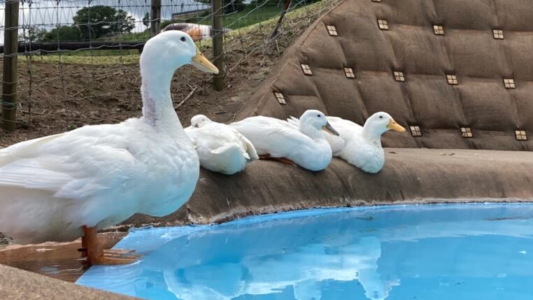 「転職のきっかけ」の写真