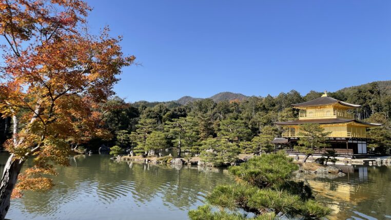 「入社しようと思ったきっかけ」の写真