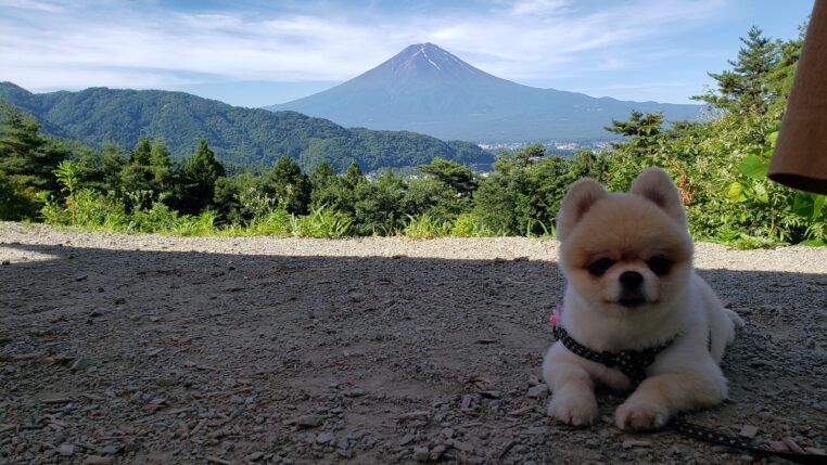 「介護業界への転職のきっかけ」の写真