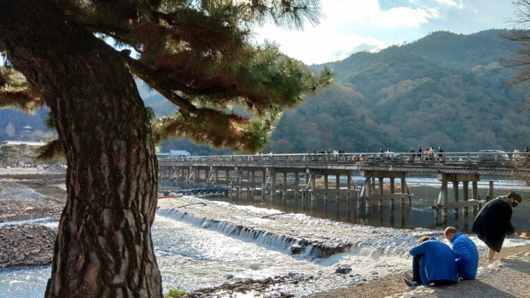 「手術を経て、今年の目標。」の写真